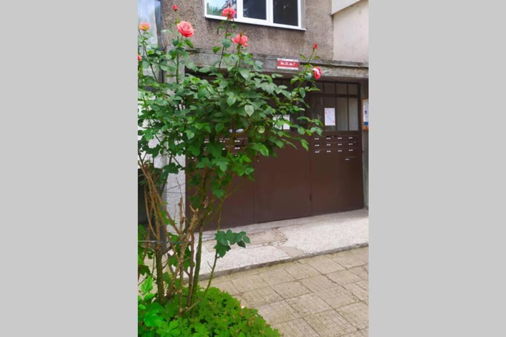 Lovely City Center 1Bd, 1Bt Apartment Софія Екстер'єр фото